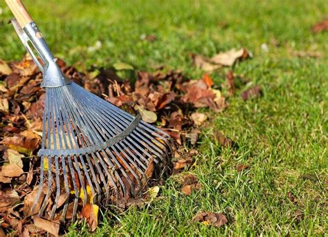 Cleaning Hacks 7 Best Outdoor Cleaning Tips