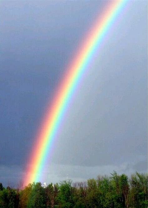Pin By Arancutean Eliza On Arcs En Ciel Beautiful Rainbow Rainbow
