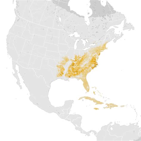 Prairie Warbler Abundance Map Pre Breeding Migration Ebird Status
