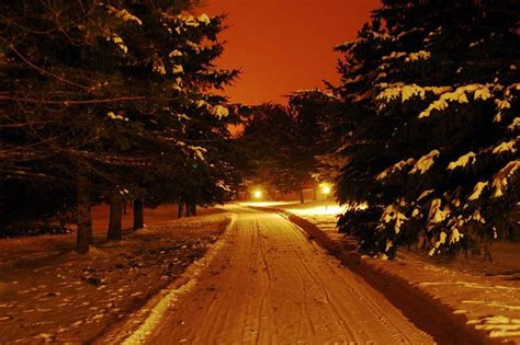 Winter Evening Path Trees Snow Light Hd Wallpaper Peakpx