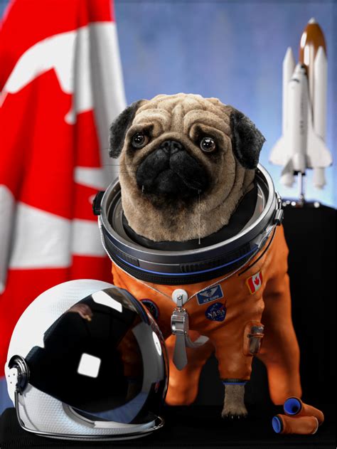 Canadian Space Pug By Psybearia On Deviantart