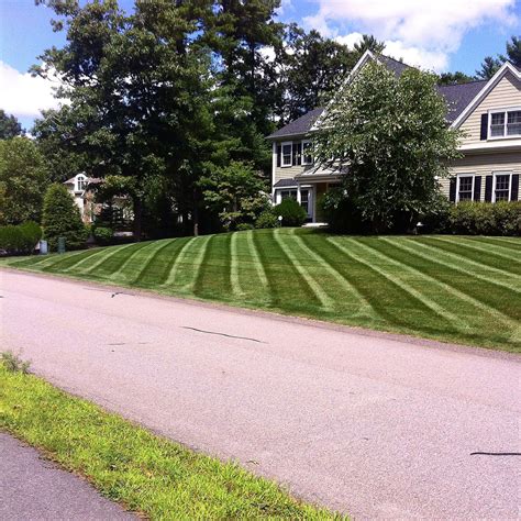 In medford, massachusetts, to eliminate your pest problems. Residential Landscape Maintenance - Guerrini Landscape Design