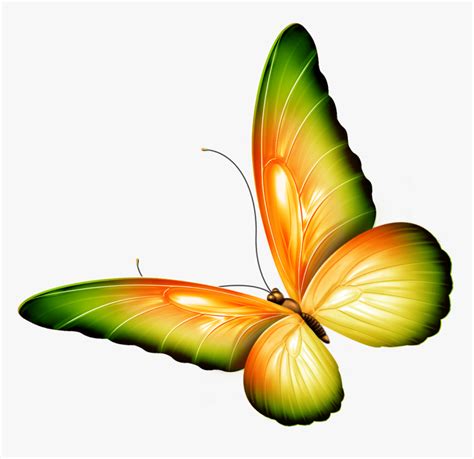 Flying Butterflies Clipart
