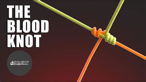 Blood Knot Tutorial Youtube