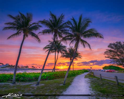 Jupiter Inlet Sunrise Coconut Tree Florida Hdr Photography By Captain