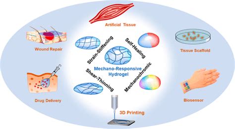 Recent Advances In Mechano Responsive Hydrogels For Biomedical