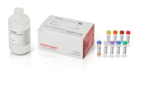 Invitrogen Quant It Protein Assay Kit Quant It Protein Assay Kit