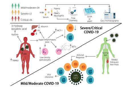 A New Tool For Predicting Covid 19 Severity And Prognosis Immunopaedia