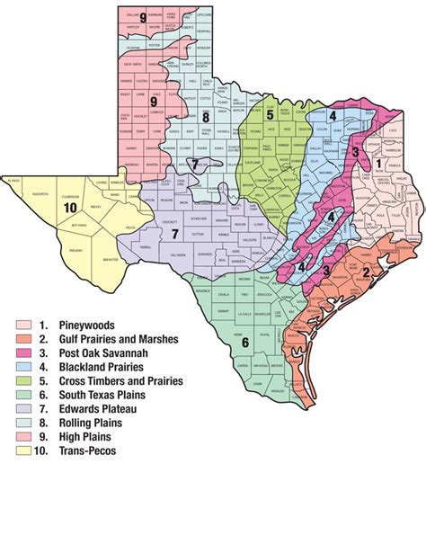 Regional Map Of Texas Lilly Pauline