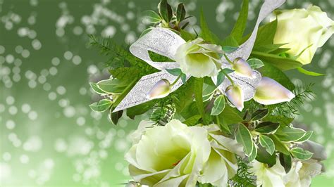 Beautiful Roses Green Hd Desktop Wallpaper Widescreen High