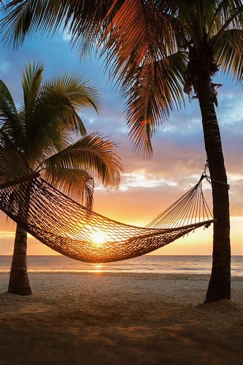 Jamaica Hammock On Beach At Sunset By Tetra Images