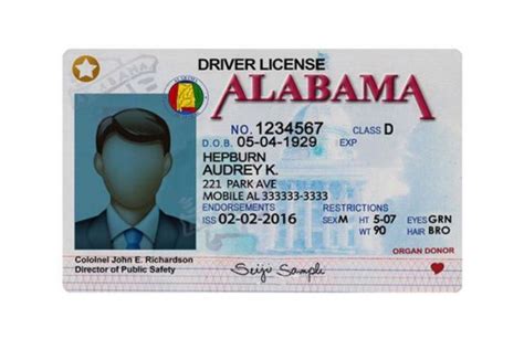 Alabama Driver License Template V1 2024