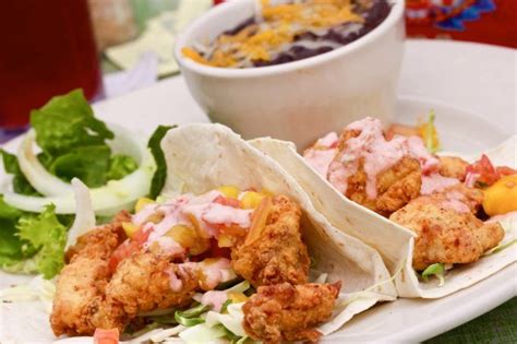 We did not find results for: Fried Grouper Tacos | Recipe | Fish tacos, Fish recipes ...