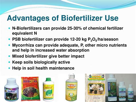 PPT Biofertilizers An Input Less Exploited PowerPoint Presentation