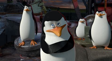 Create Meme Penguins Of Madagascar Skipper The Penguins Of Madagascar