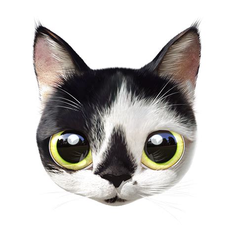 Ggomi On Behance Cat Portraits Cute Animals Domestic Cat