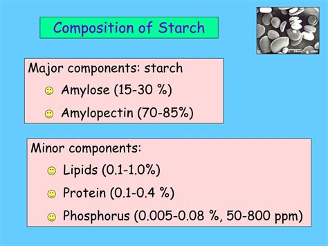 Ppt Starch Plants Powerpoint Presentation Free Download Id3098017