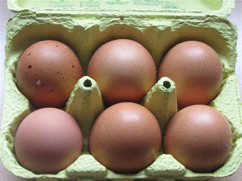 In den regalen im supermarkt türmen sich die eier, keiner will sie mehr. PCB belastete Eier fälschlich als Dioxin-verseuchte Eier ...