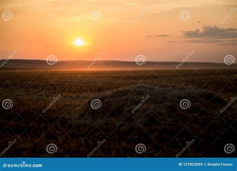 A Beautiful Golden Sunset On A Hay Field Stock Image Image Of Harvest