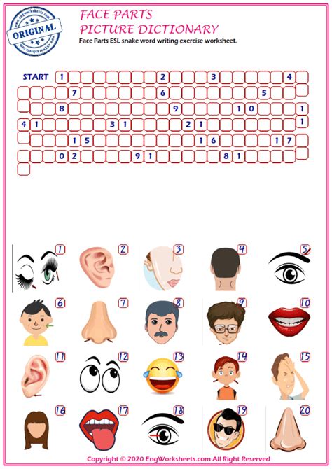 Face Parts Printable English Esl Vocabulary Worksheets Engworksheets