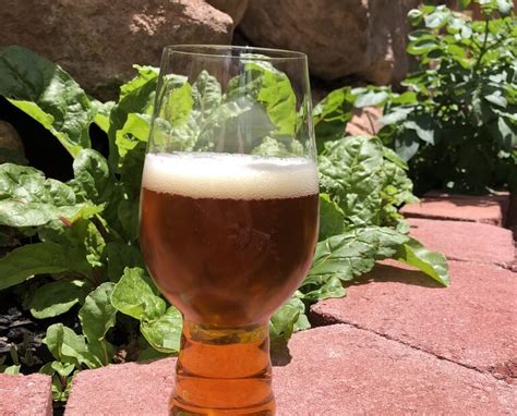 One Gallon American West Coast Ipa Biab Recipe Mr Small Batch Brewer