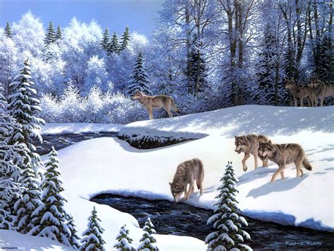 Free Photo Wolves In Winter Animal Forest Ice Free Download Jooinn
