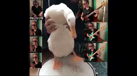 Funky Duck Plays Drums With Me Youtube
