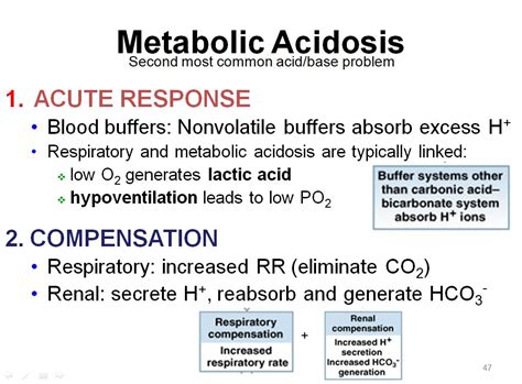 Medicine Newbie Sgd Compensation In Metabolic Acidosis