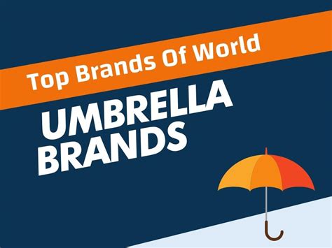 Top 36 Best Umbrella Brands In The World