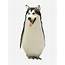 Husky Penguin Mix Meme Moon Sticker By DefinitionDump  Redbubble