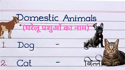 Domestic Animals Animals Name In English And Hindi घरेलू पशुओं का