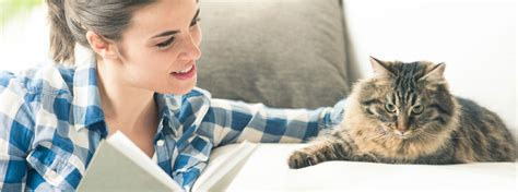 Find deals on products in cat supplies on amazon. Girl reading with cat