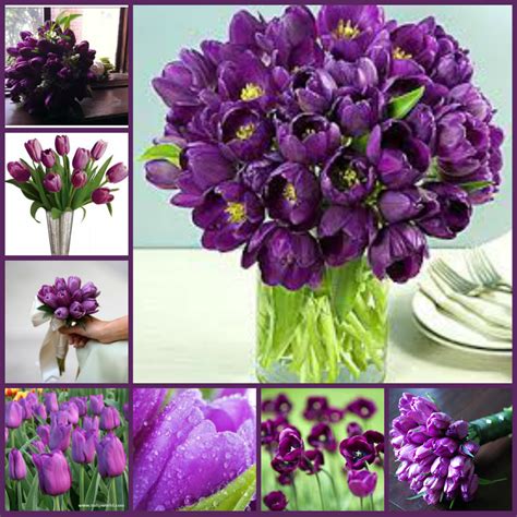 36 Types of Purple Flowers | Purple flower centerpieces, Types of purple flowers, Purple flowers