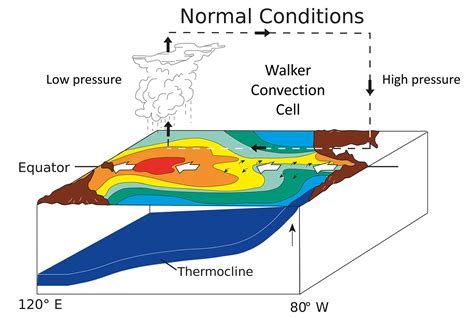 96 El Niño And La Niña Introduction To Oceanography