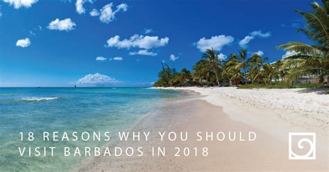 18 reasons why you should visit barbados this year visit barbados barbados travel trip to