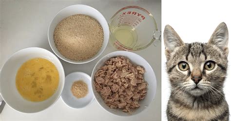 Here Are Some Awesome Homemade Cat Food Recipes That Can Help To Save