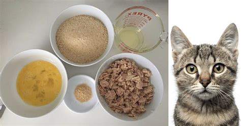 And as an added bonus, i you can choose to make as small or large of batches as you want. Homemade Cat Food Recipes - Thifty Sue | Homemade cat food ...