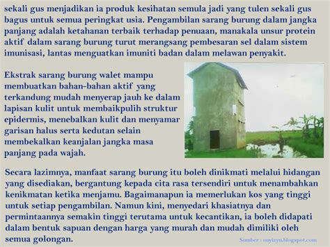 Kelebihan pemanis dari daun stevia dibandingkan dengan gula. DNA Energy Jus Walit Campuran Ekstrak Daun Stevia dan ...