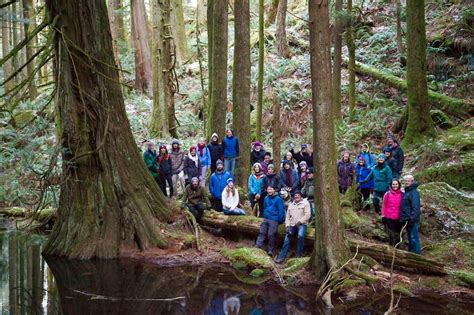 Sfu Slideshow On Bcs Endangered Old Growth Forests