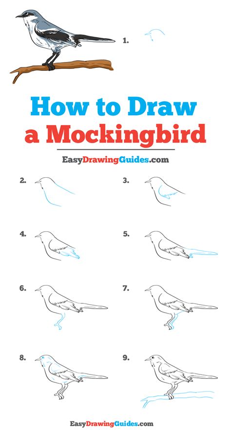 Https://tommynaija.com/draw/how To Draw A Bird Step By Step Art Pro
