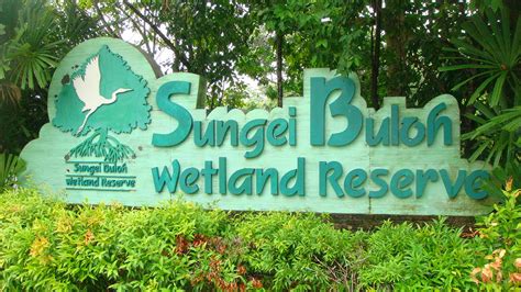 Travel guide resource for your visit to sungai buloh. Sungei Buloh Wetland Reserve - Wikipedia