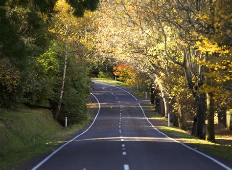 Macedon Ranges Wine Tour Great Private Tours