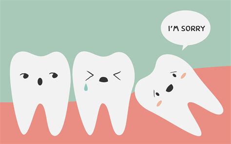 Gigi Bungsu Dan Cara Penanganannya Orange Dental
