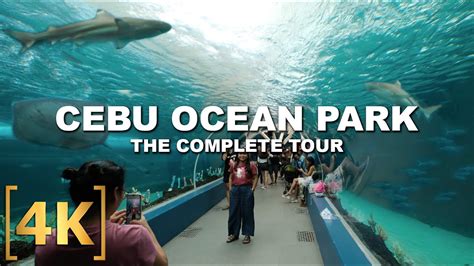 Cebu Ocean Park The Biggest Oceanarium In The Philippines The