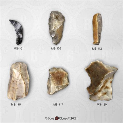 Set Of 6 Neanderthal Mousterian Industry Tools Bone Clones Inc