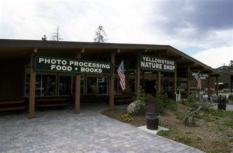 Tripadvisor Yellowstone Forum