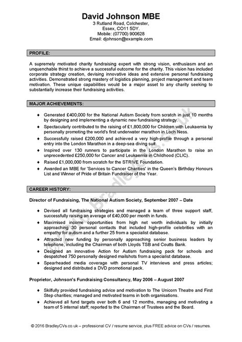 Resume Personal Profile Statement Examples Professional Resume