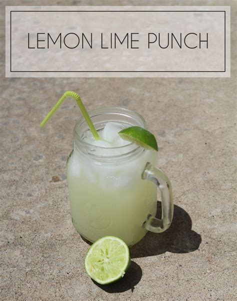 Lemon Lime Punch Recipe Hello Nature