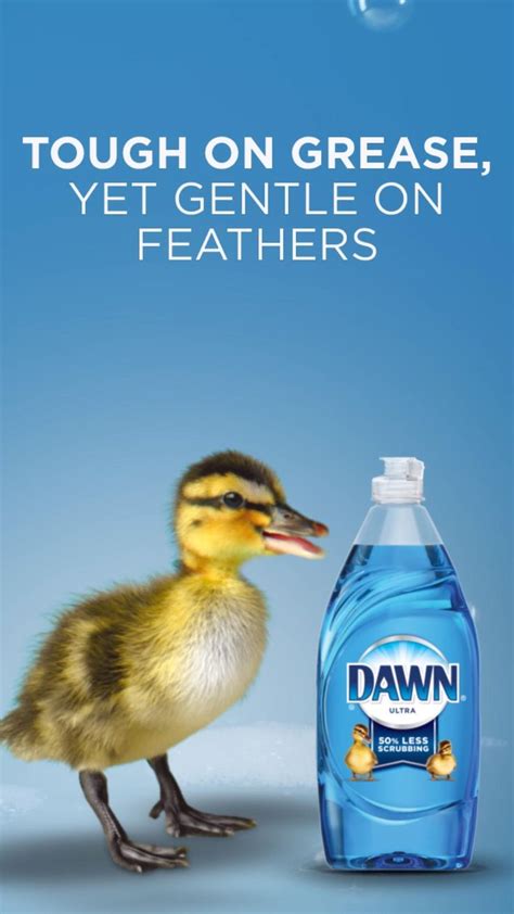 dawn helps save wildlife dawn dish soap