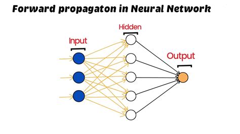 Forward Propagation In Neural Networks Deep Learning Youtube